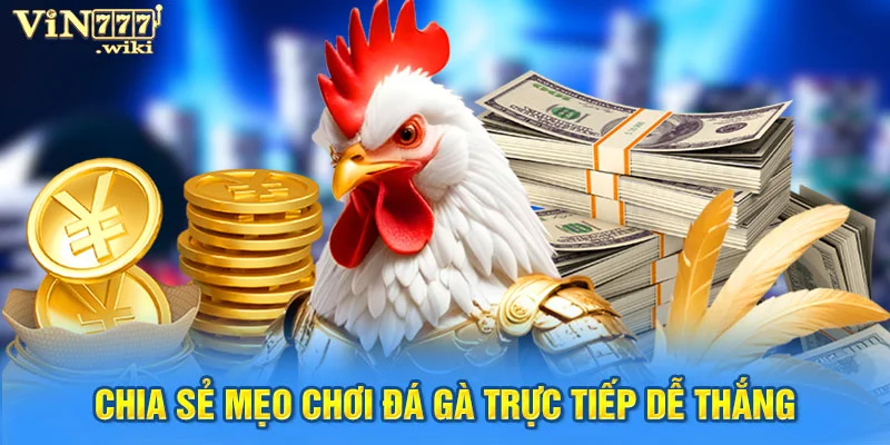 Chia sẻ mẹo chơi đá gà trực tiếp dễ thắng