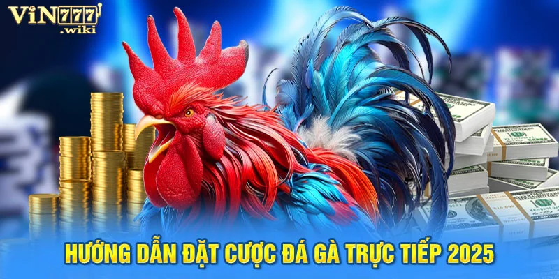 Hướng dẫn đặt cược đá gà trực tiếp 2025