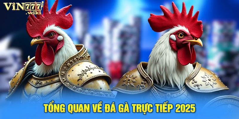 Tổng quan về đá gà trực tiếp 2025
