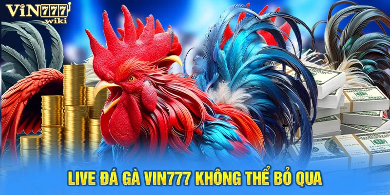 Live đá gà Vin777 không thể bỏ qua